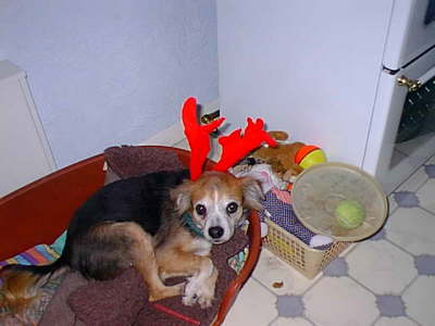 Christmas Patch
